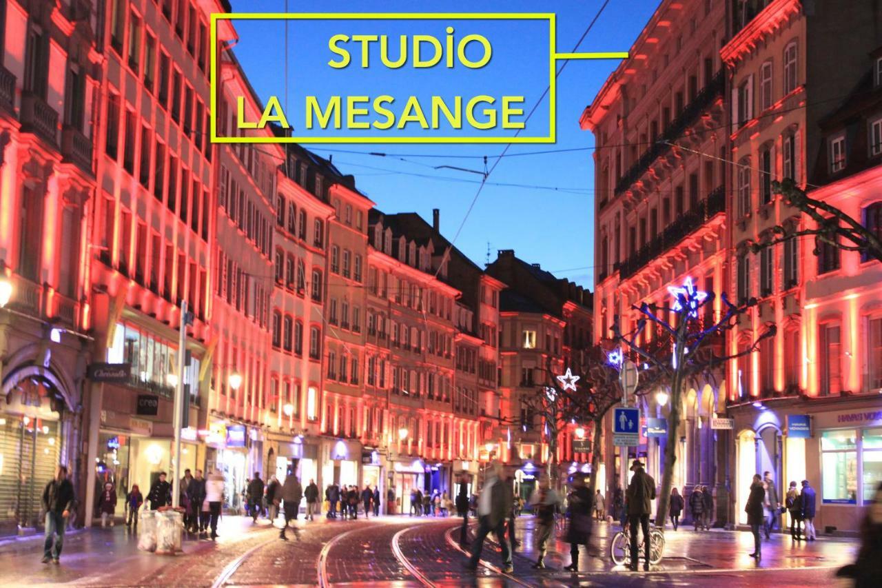 Studio La Mesange Strasbourg Luaran gambar
